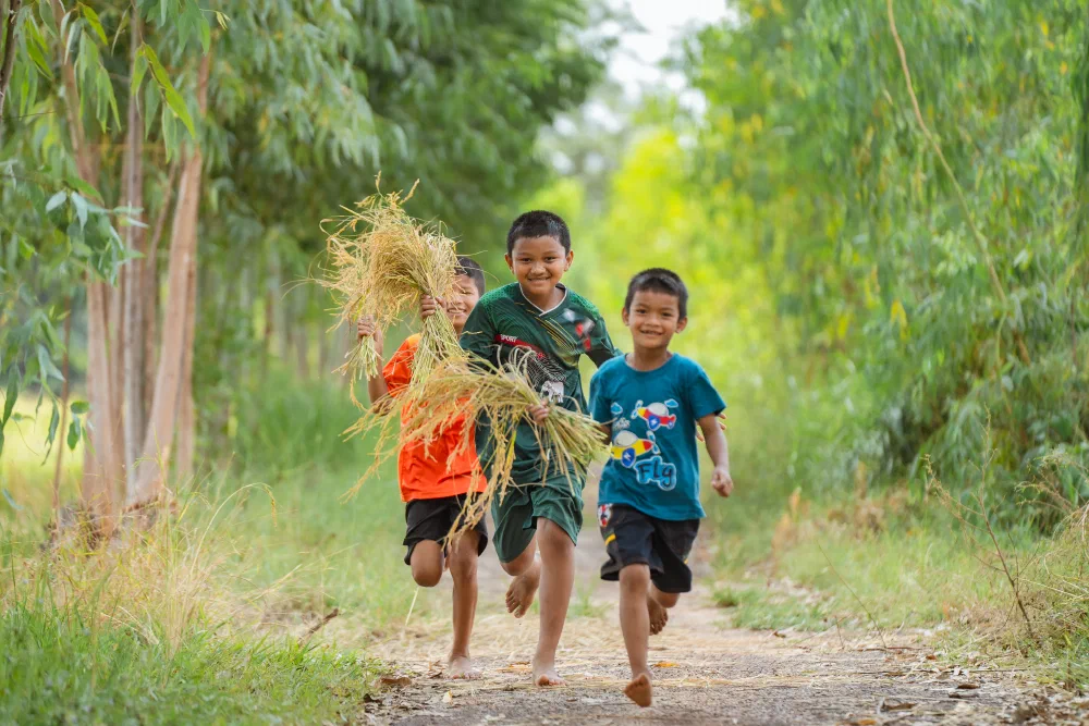 Thai Hom Mali